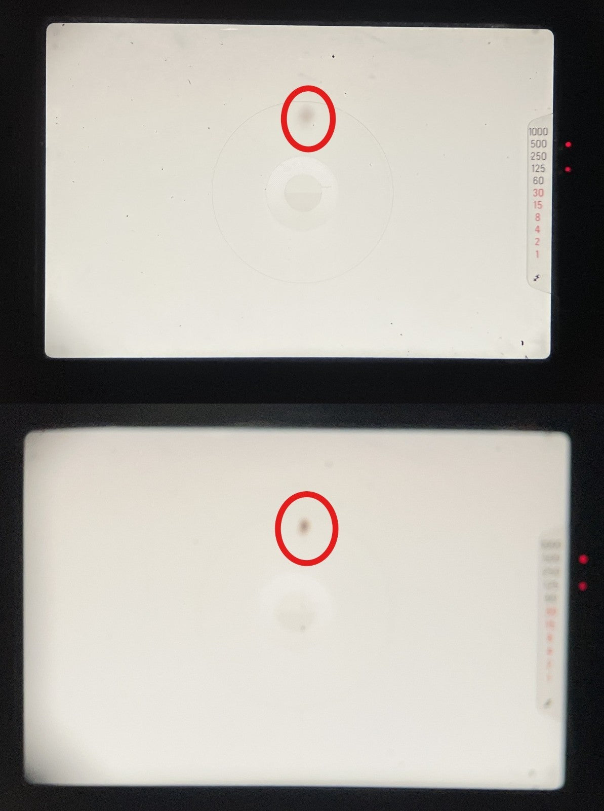 45811083