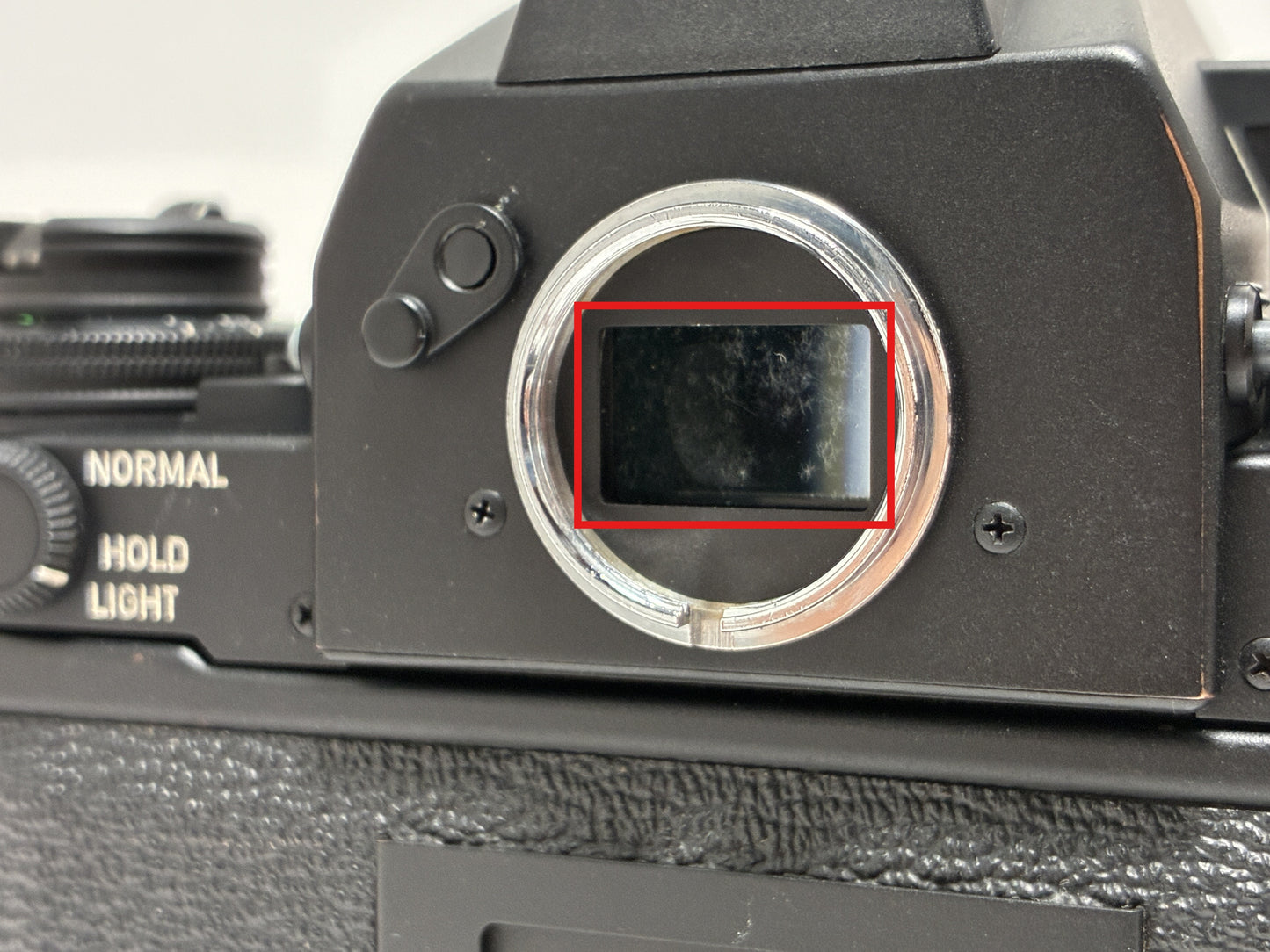 [Exc+4] Canon NEW F-1 AE Finder 35mm SLR Film Camera