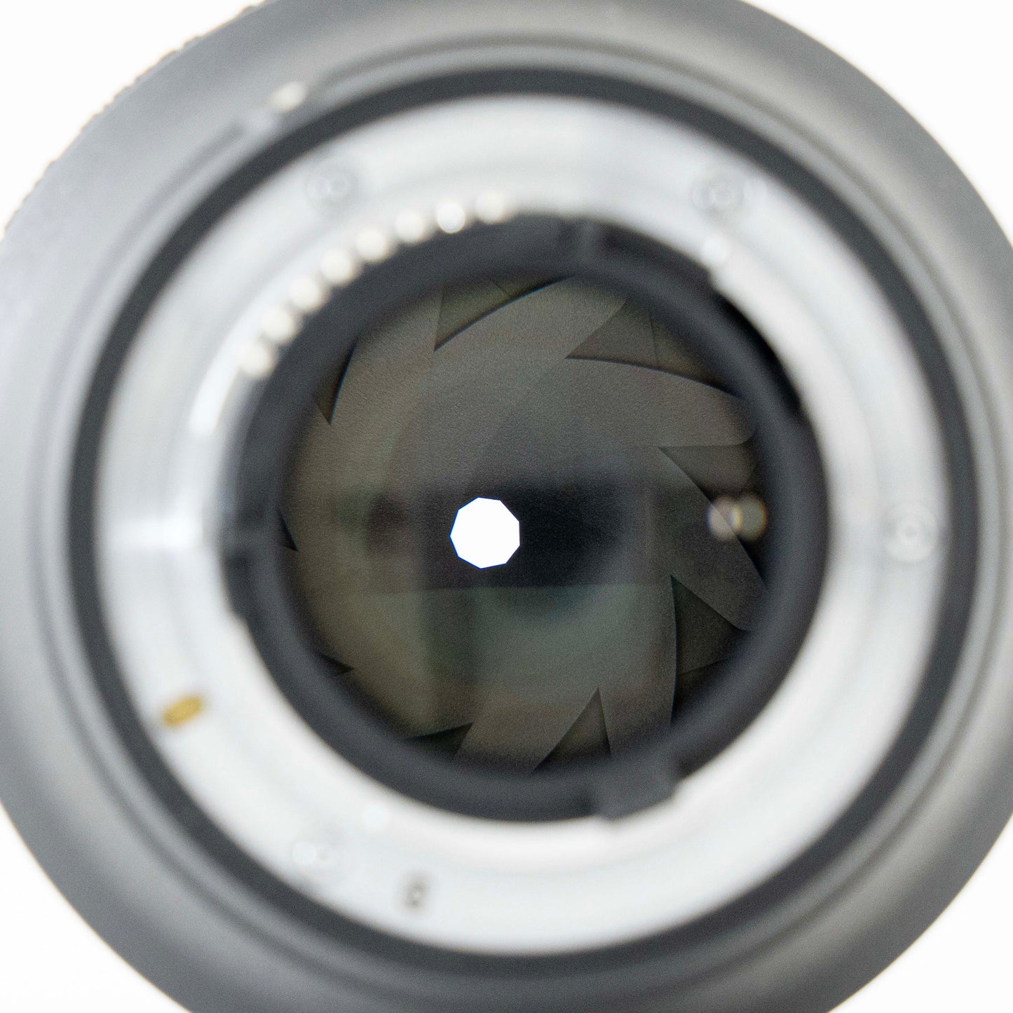 [N Mint] Nikon AF-S NIKKOR 85mm f/1.4G Telephoto Lens