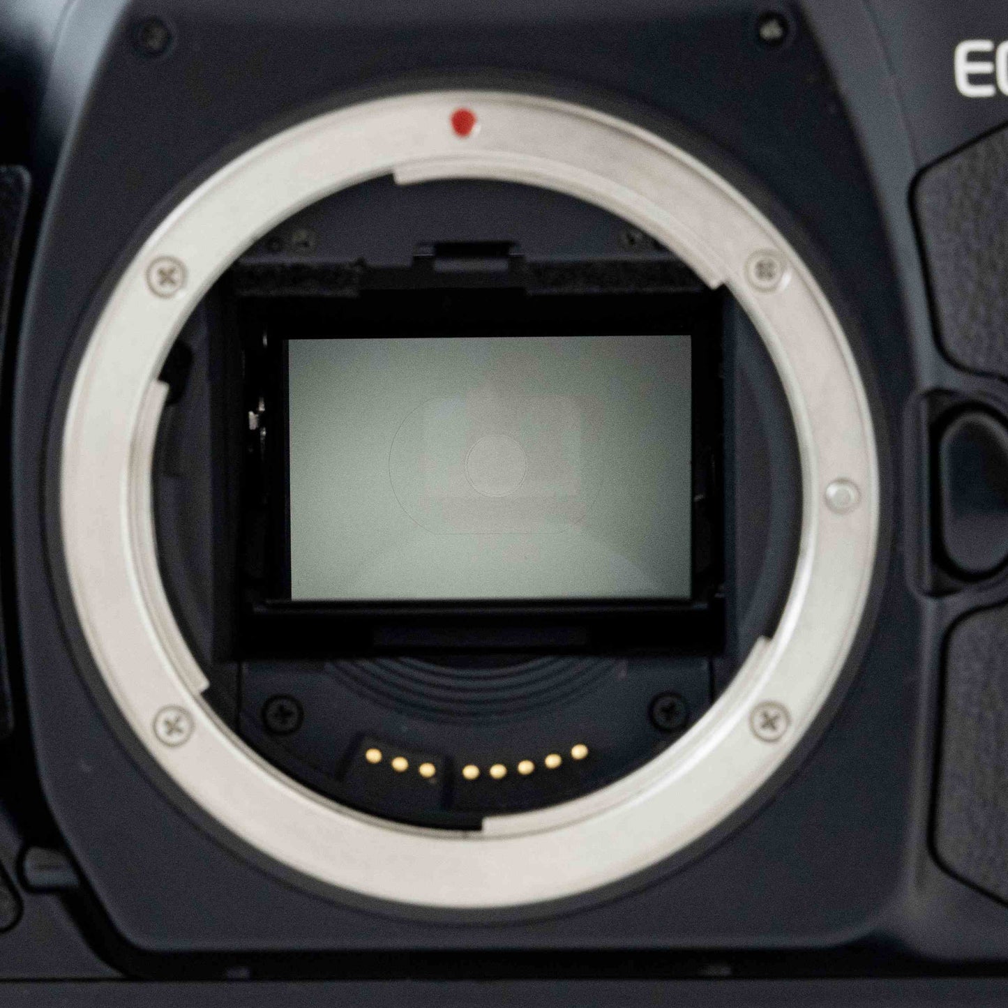 [Exc+5] Canon EOS-1 V 35mm SLR Film Camera