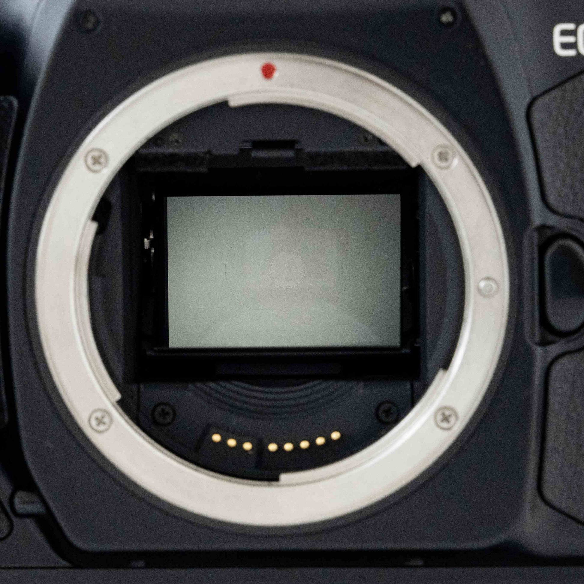 [Exc+5] Canon EOS-1 V 35mm SLR Film Camera