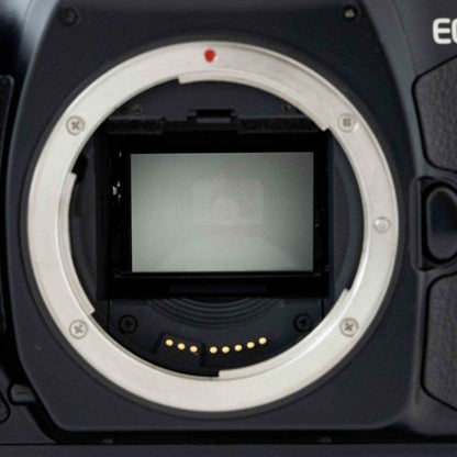[Exc+5] Canon EOS-1 V 35mm SLR Film Camera