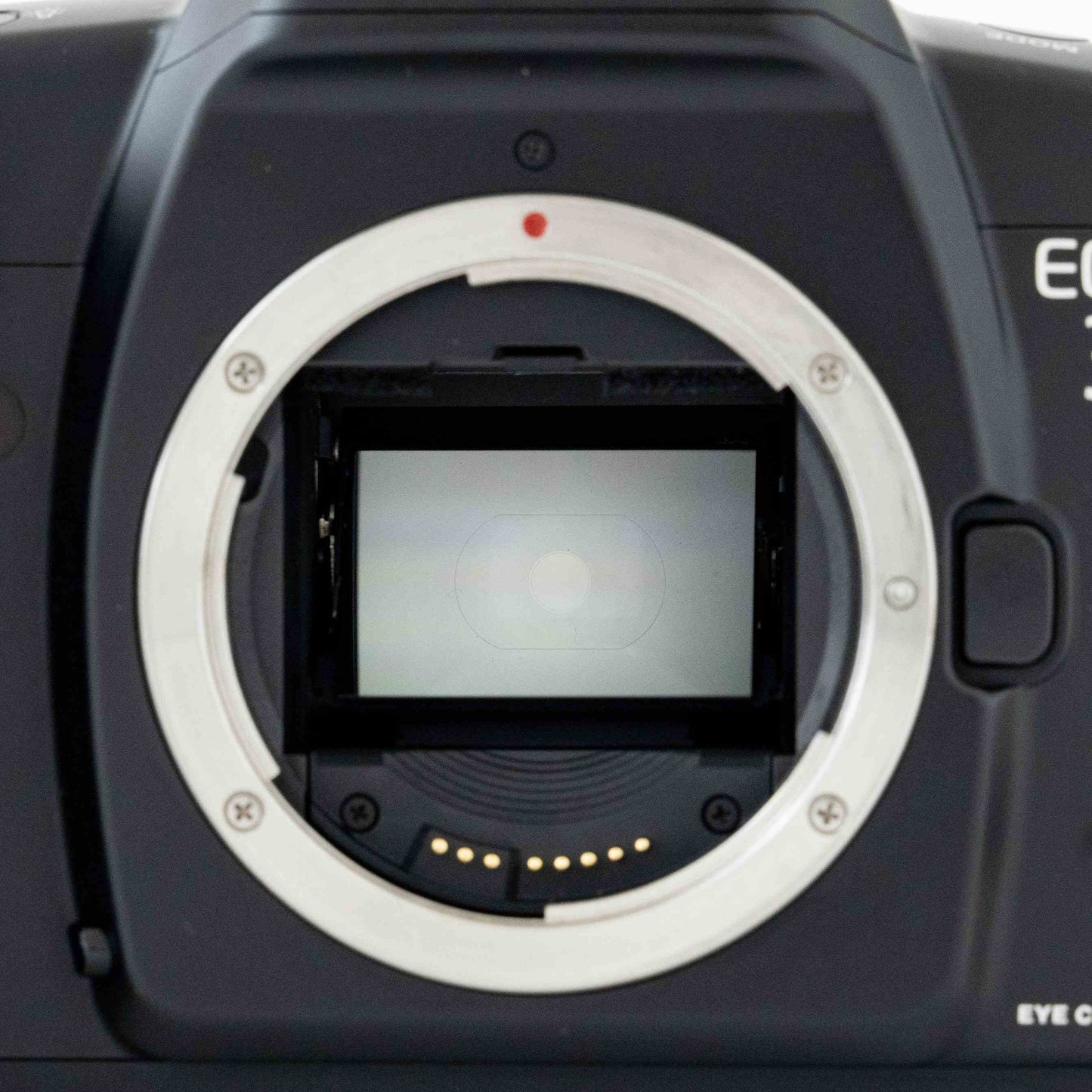 [N Mint] Canon EOS-3 35mm SLR Film Camera