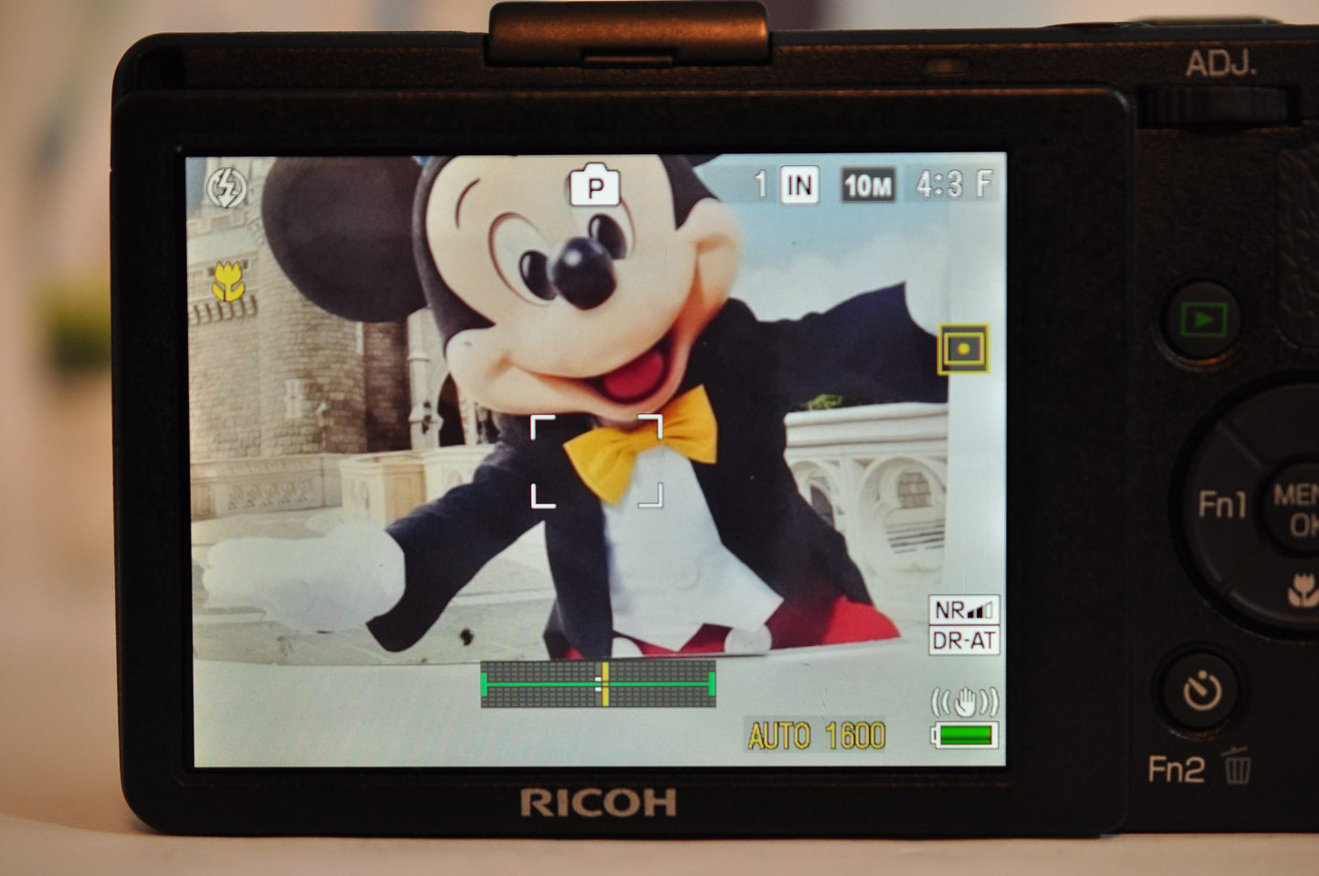 [N Mint] Ricoh GR Digital IV + Wide Conversion GW-2 + Hood adapter GH-2