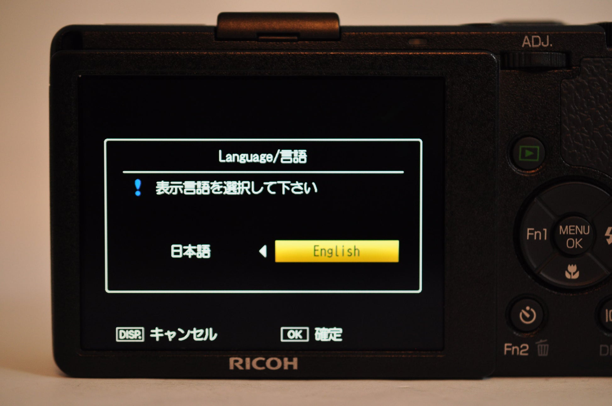 [N Mint] Ricoh GR Digital IV + Wide Conversion GW-2 + Hood adapter GH-2