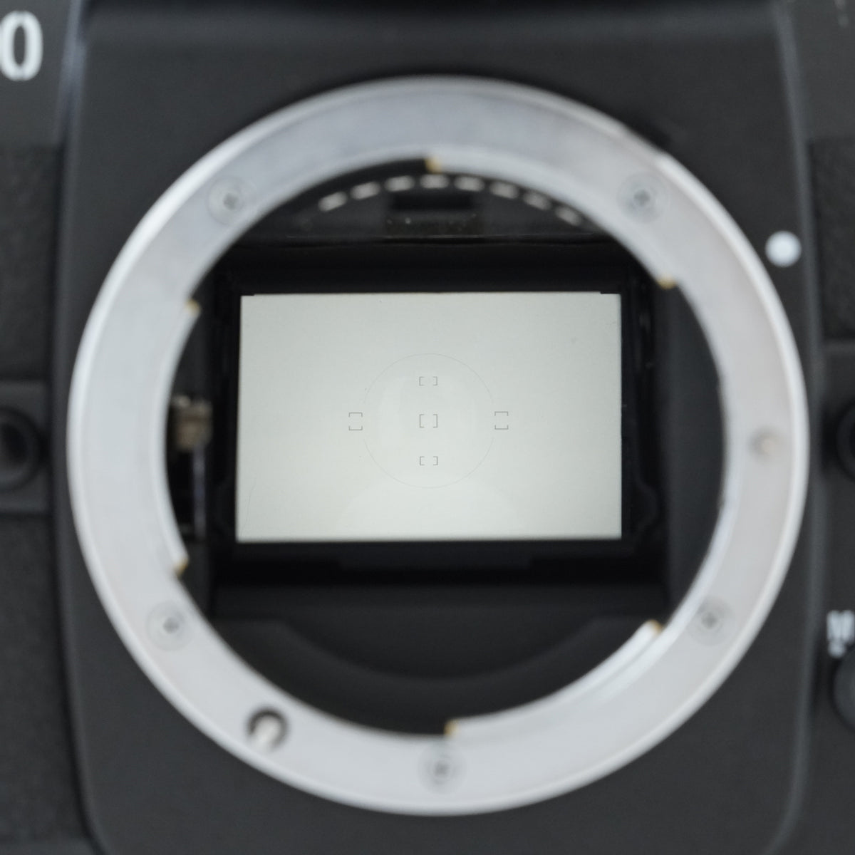 [Exc+3] Nikon F100 35mm SLR Film Camera
